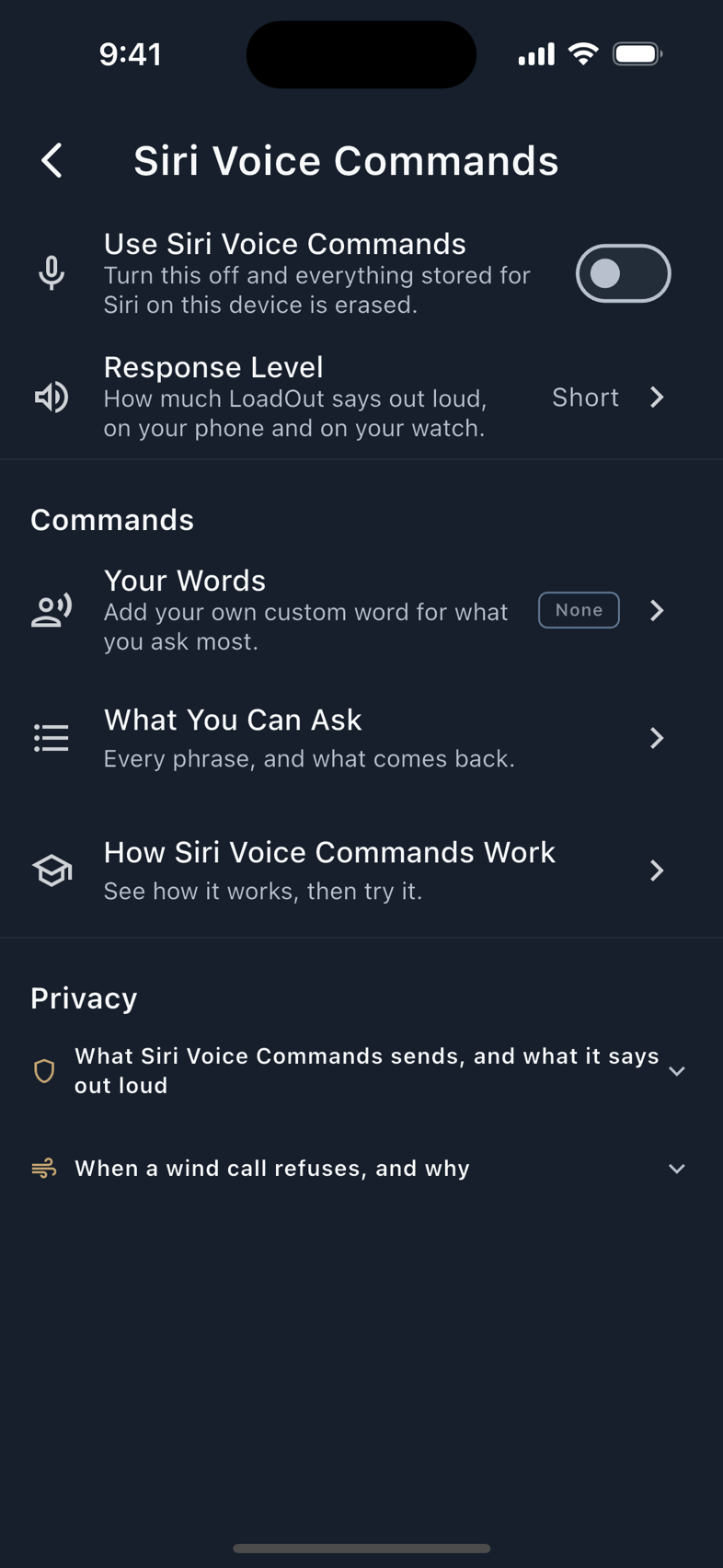 Siri Voice Commands, and the AI Features hub.