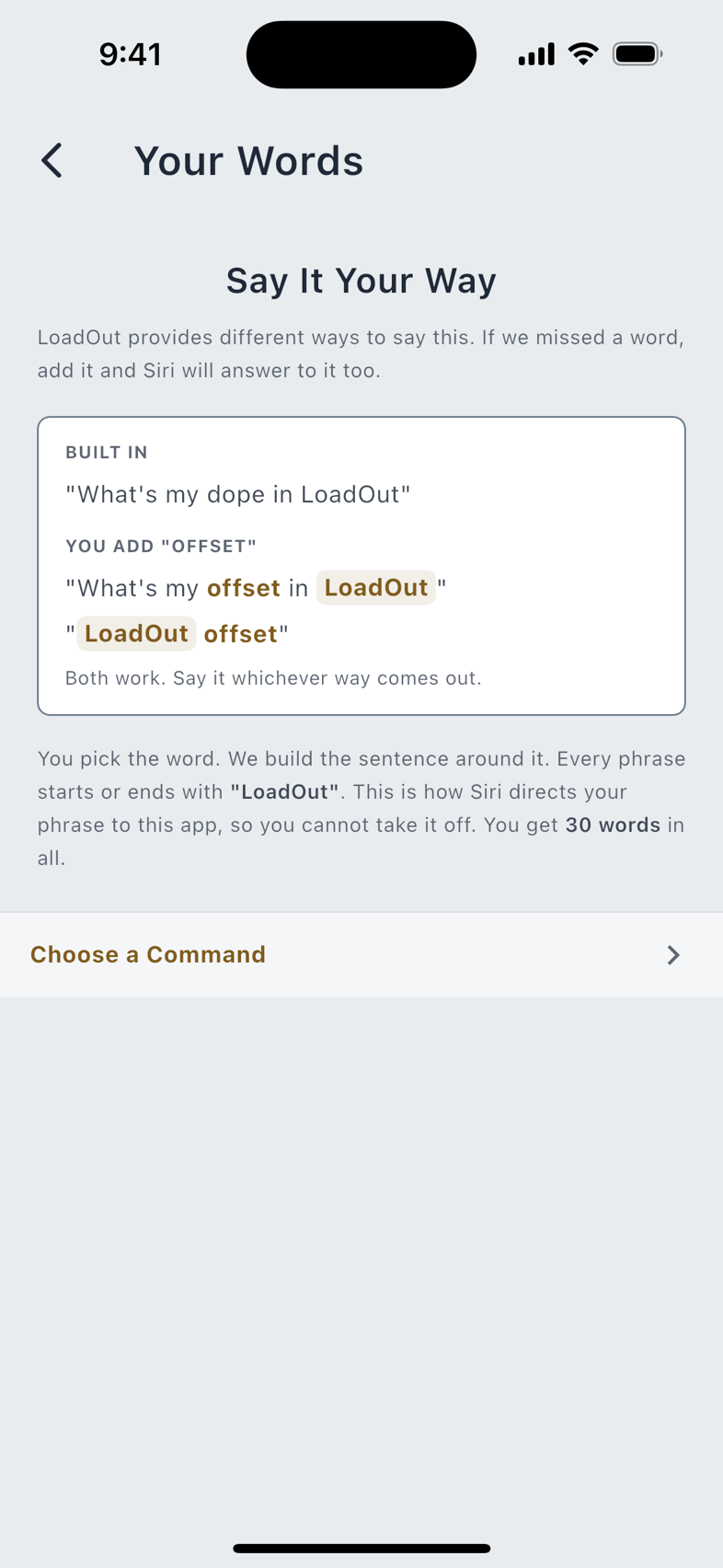 Siri Voice Commands, and Custom Phrasing.